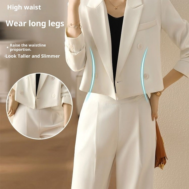 Temperament Goddess Style Small Professional Short Suit Coat